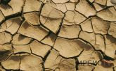 Угрожает ли Казахстану засуха после паводков?